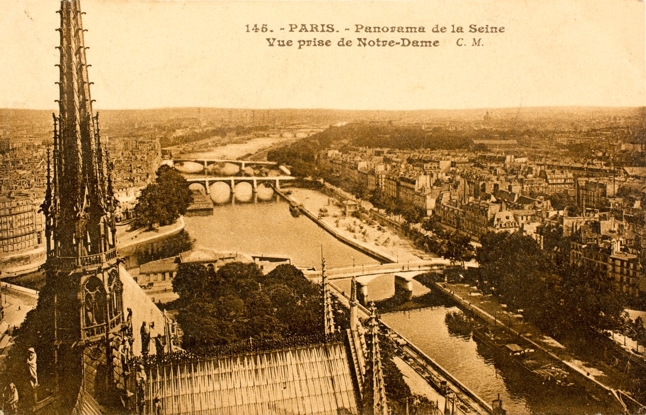 Cartão postal/Seine de Notre Dame/Paris/Seine/Ile de France/France de Augustus Kollner
