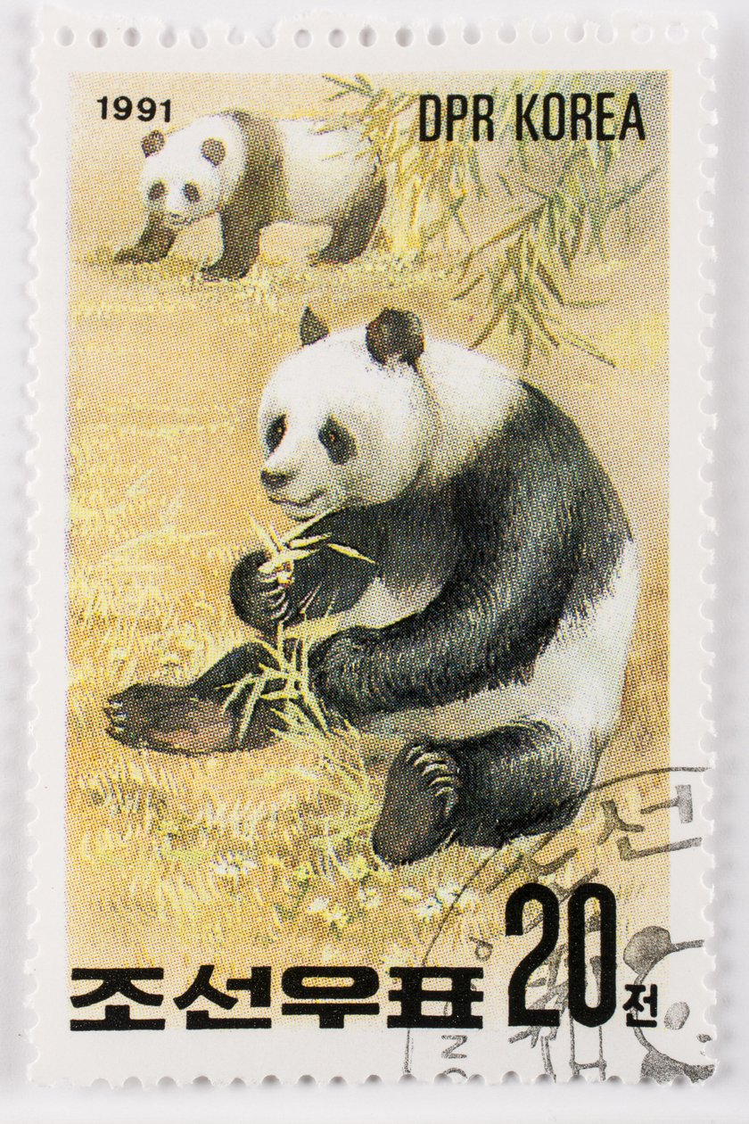 Selo/Coréia do Norte/Ailuropoda melanoleuca/Grande panda/Giant Panda de Augustus Kollner