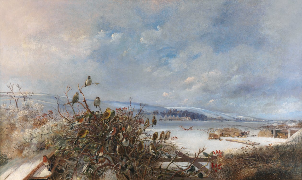 Farinha do mesmo saco de Charles Henry Clifford Baldwyn