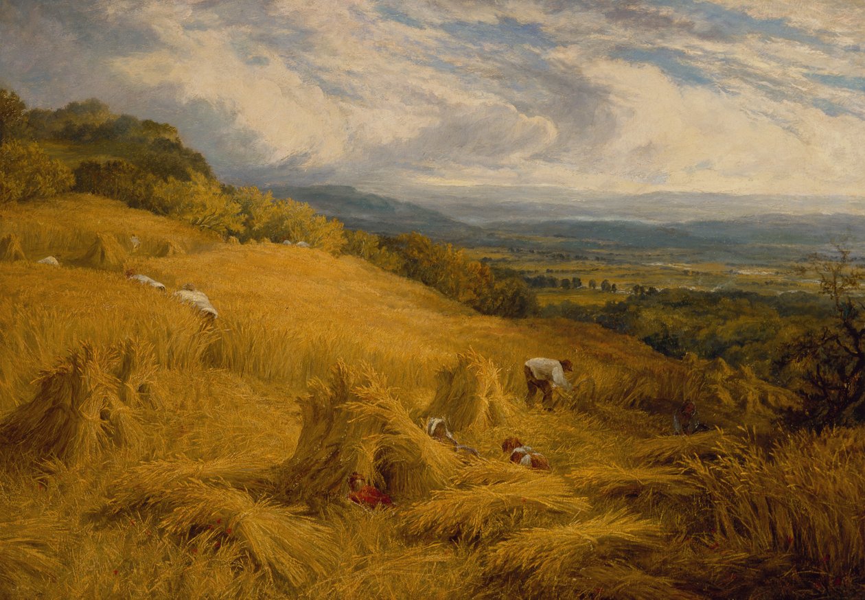 A Colheita (óleo sobre tela) de Charles Henry Passey