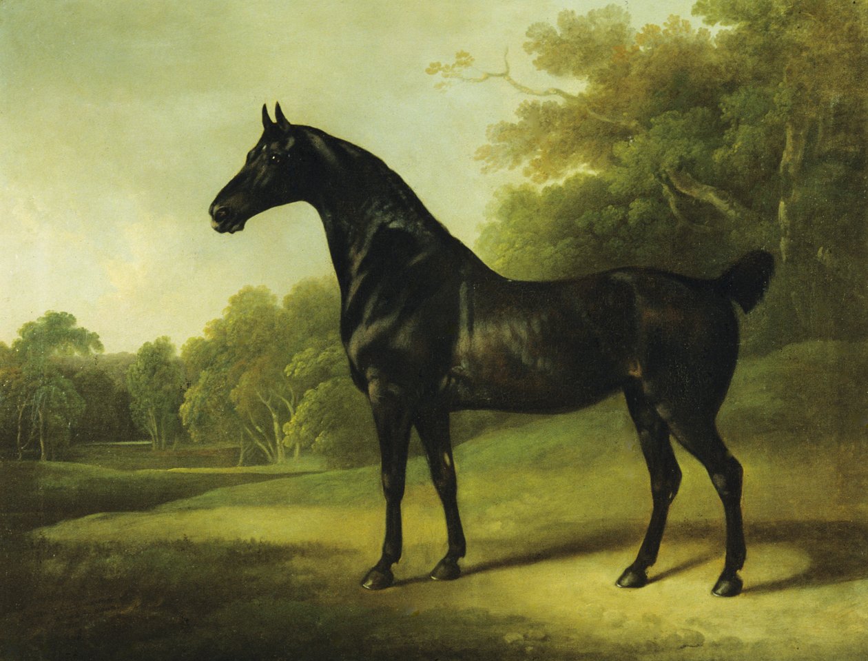 Um Cavalo de Baía numa Paisagem arborizada de Charles Henry Schwanfelder