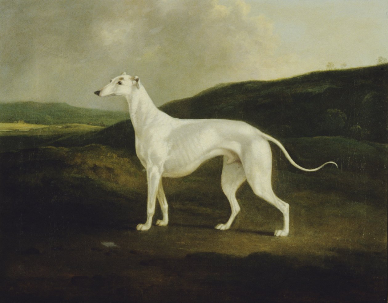 Um Galgo na Paisagem de Charles Henry Schwanfelder