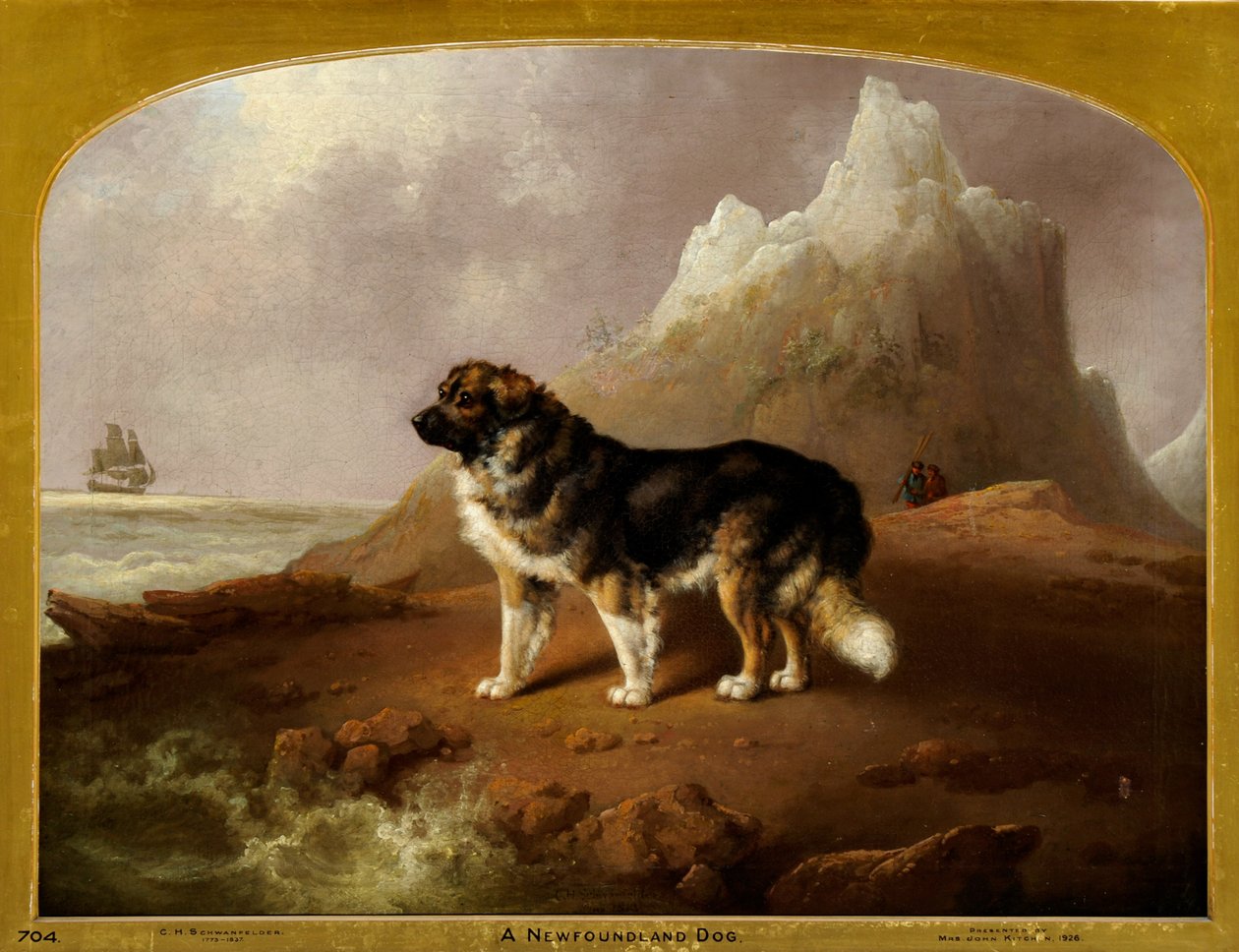 Um Cão da Terra Nova de Charles Henry Schwanfelder