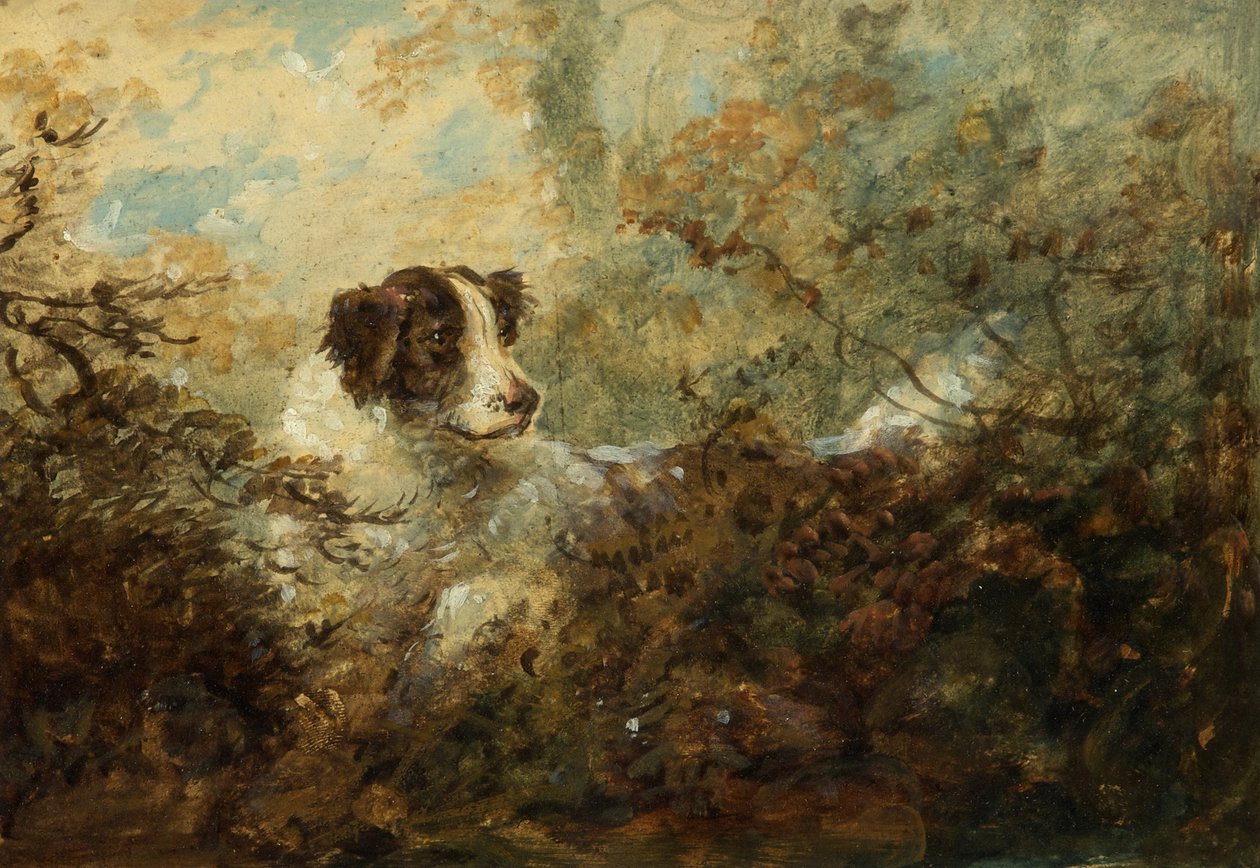 Cachorro (óleo a bordo) de Charles Henry Schwanfelder