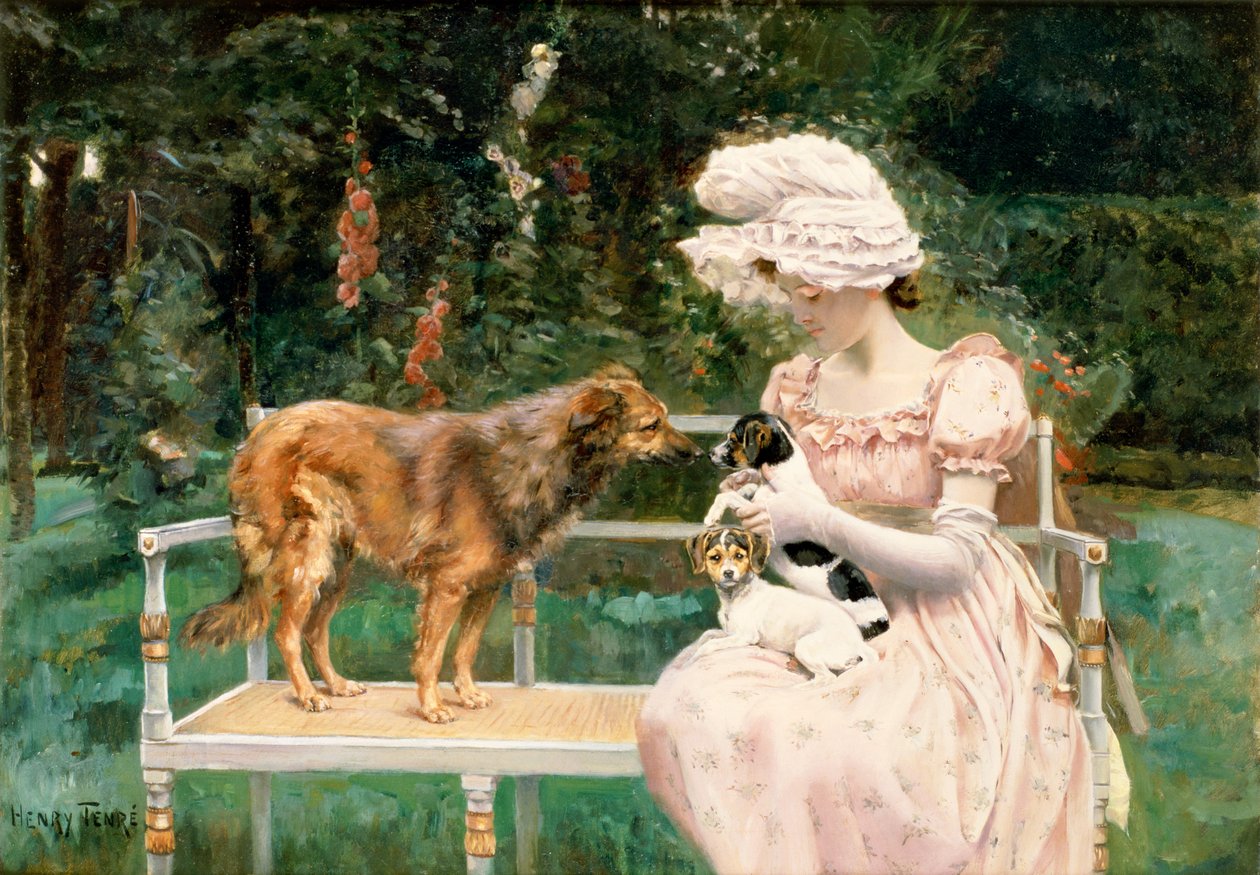 Introduções de Charles Henry Tenre