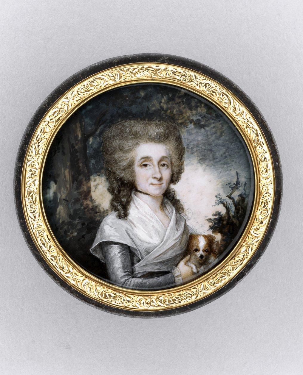 Caixa com Retrato de Mulher, c.1785 (aquarela em marfim, dourado, carapaça de tartaruga e vidro) de Charles Hénard