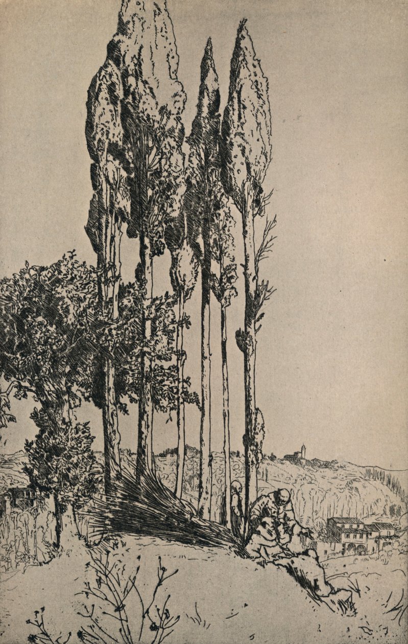 Ciprestes perto de Siena, 1903 de Charles Holroyd