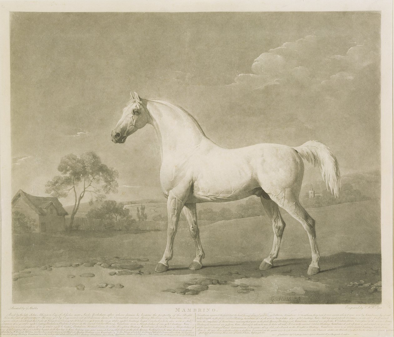 Mambrino, depois de George Stubbs, 1788 (mezzotint) de Charles Howard Hodges