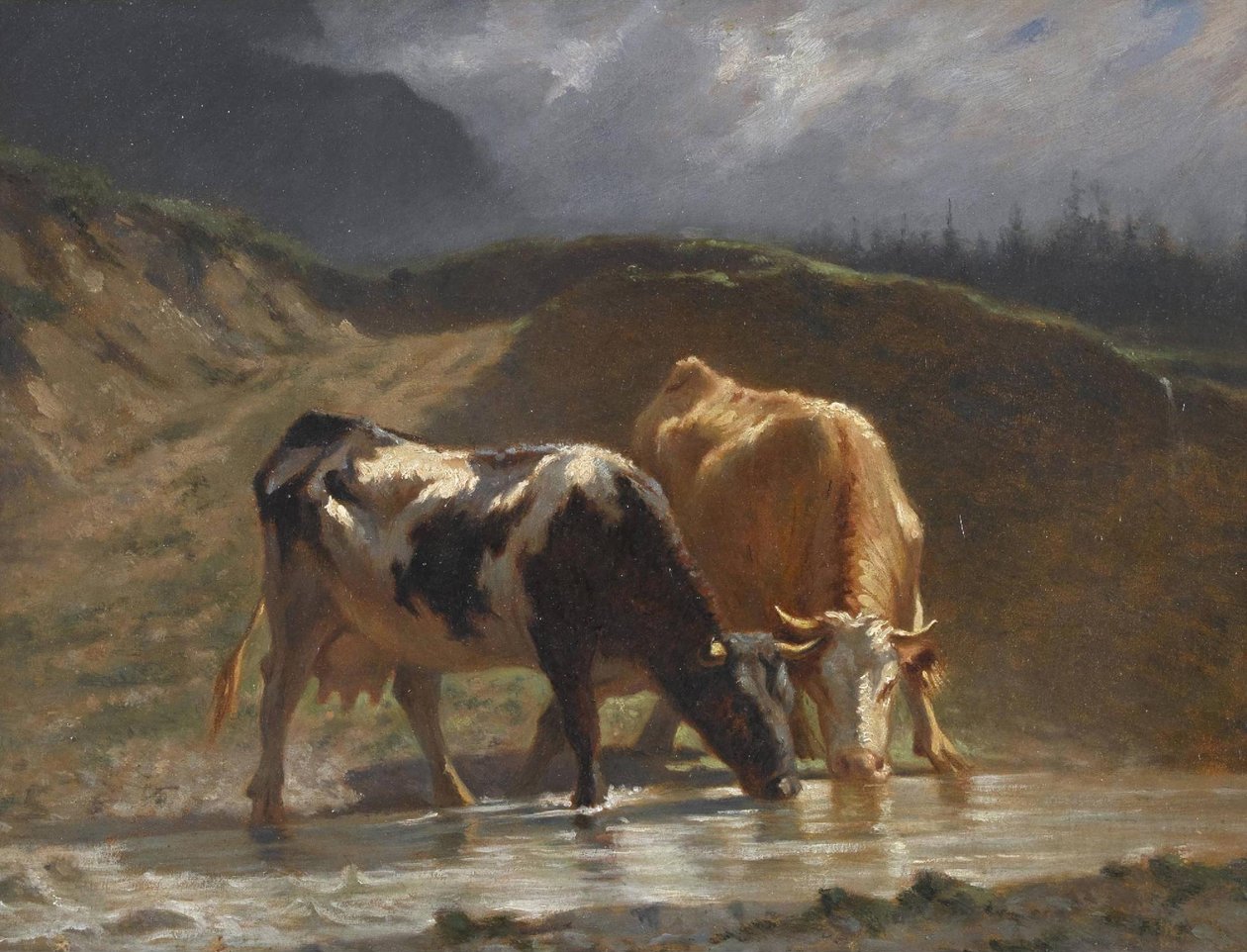 Vacas no bebedouro de Charles Humbert
