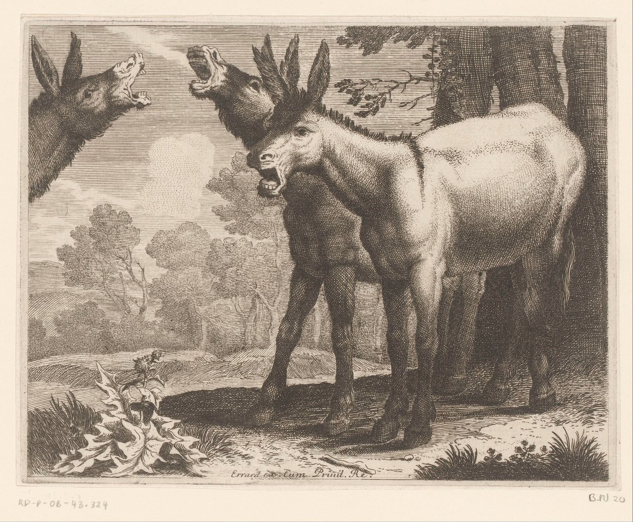 burros zurrando Série Animal (título da série) de Charles II Errard (attributed to)