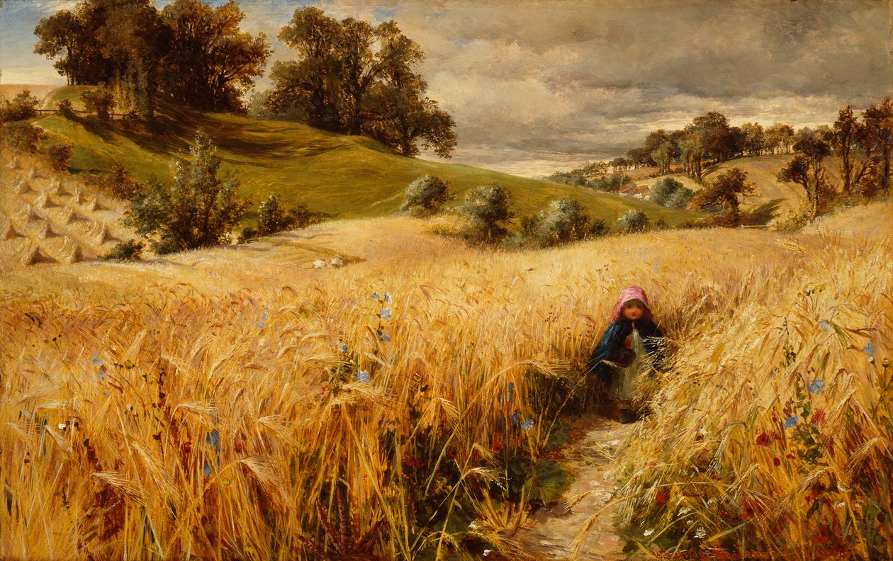 Vindo Thro The Rye (óleo sobre cartão) de Charles James (attr.to) Lewis