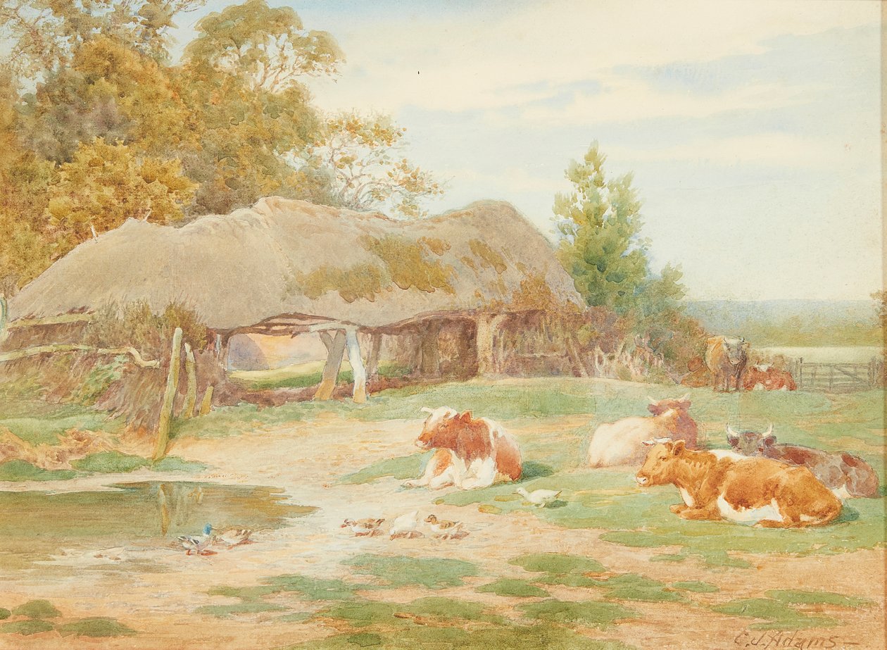 Descanso de gado (aquarela) de Charles James Adams