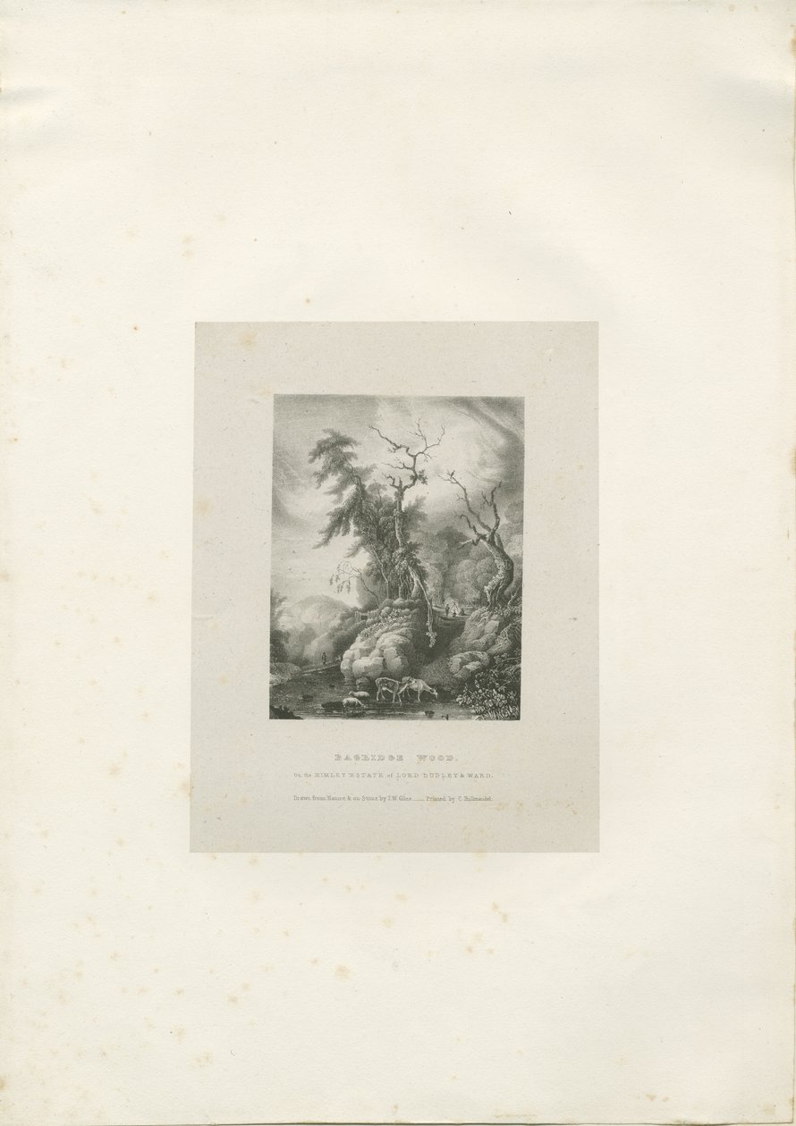 Himley Estate - &39;Bagridge Wood&39;: litografia, nd [1789-1850] (impressão) de Charles Joseph Hullmandel