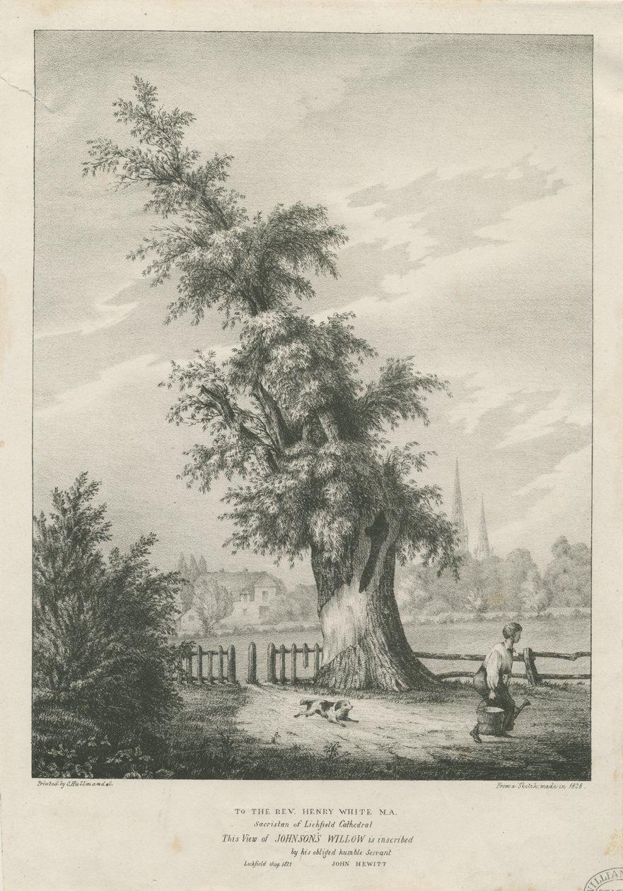 Lichfield - &39;Dr. Willow Tree de Johnson: litografado de Charles Joseph Hullmandel