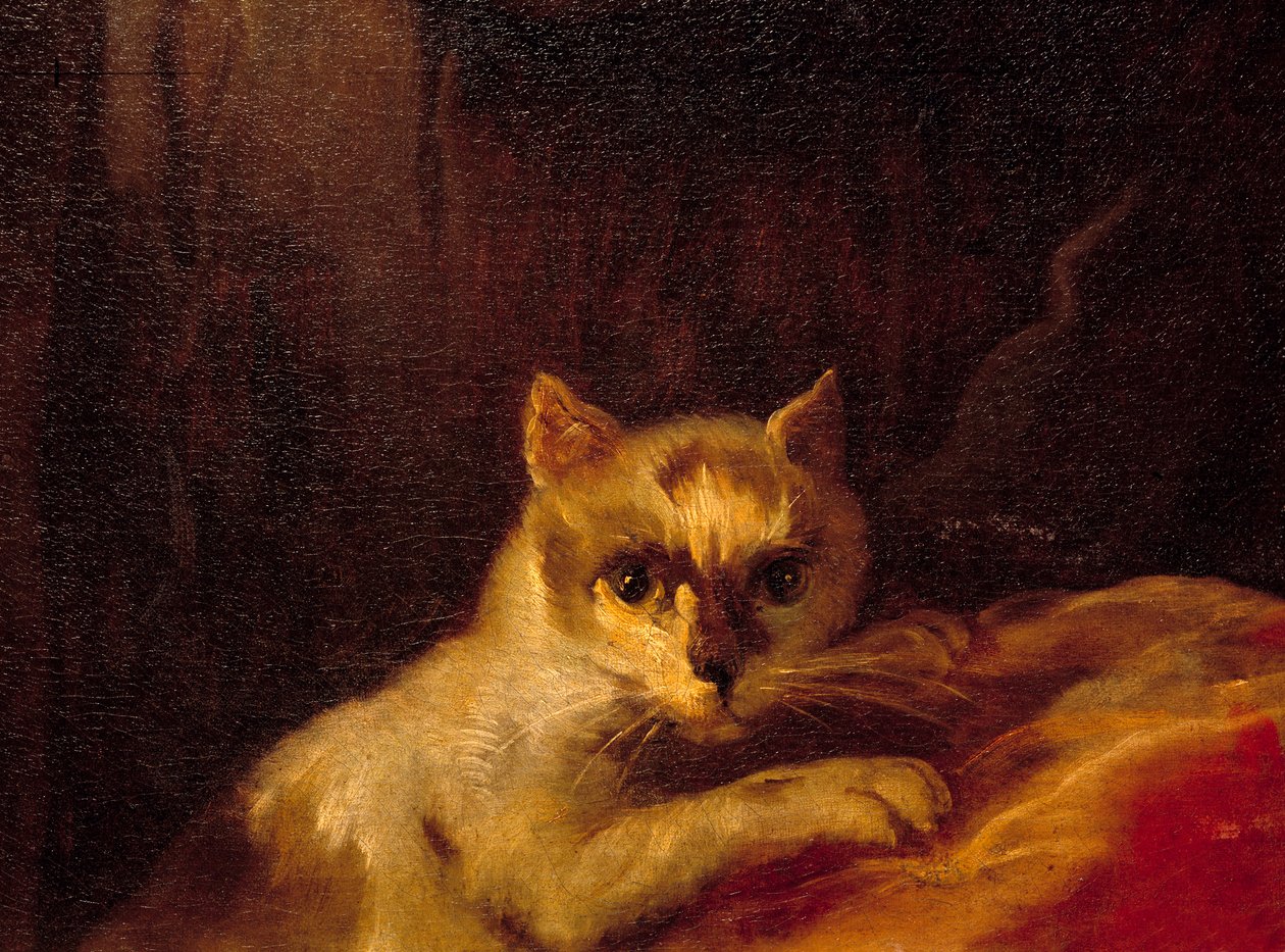 Mademoiselle de Charolais Detalhe representando o gato. Pintura de Charles Joseph Natoire (Charles-Joseph Natoire de Charles Joseph Natoire