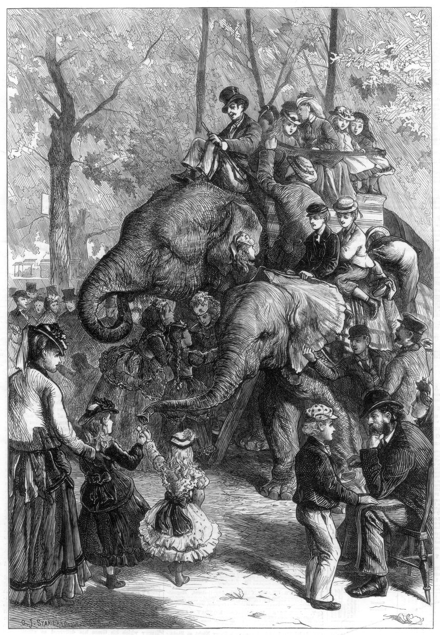 Segunda à tarde nos jardins da sociedade zoológica, 1871. de Charles Joseph Staniland