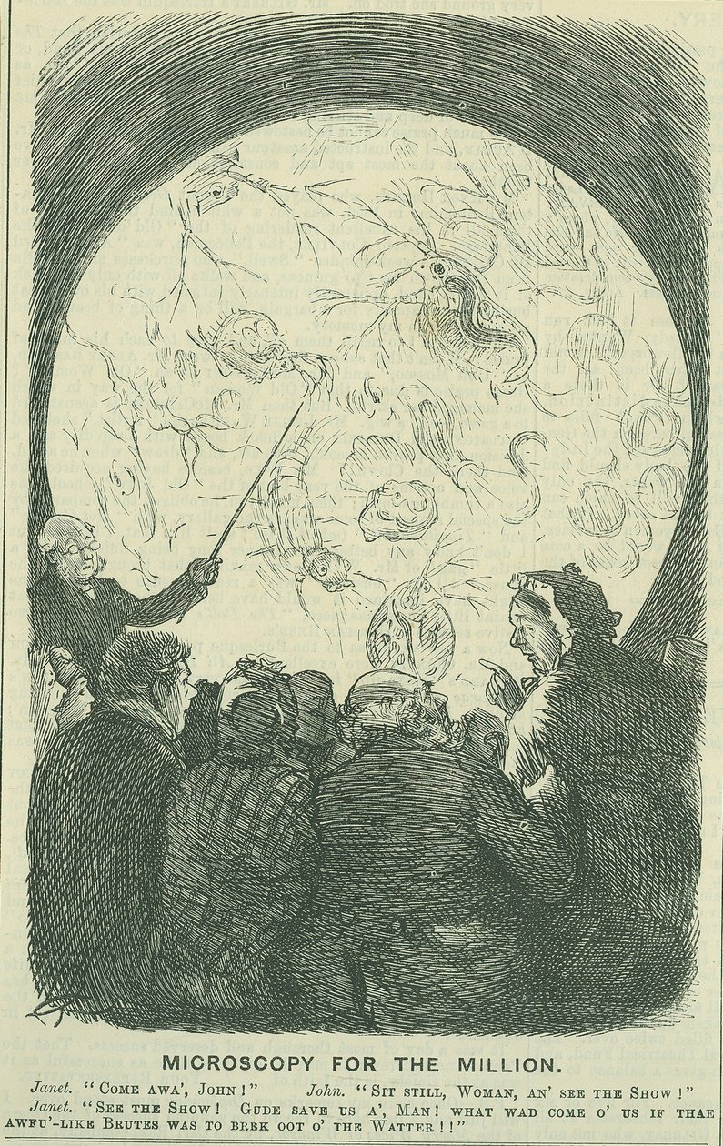 Microscopia para o "Milhões": 1878 (gravura) de Charles Keene