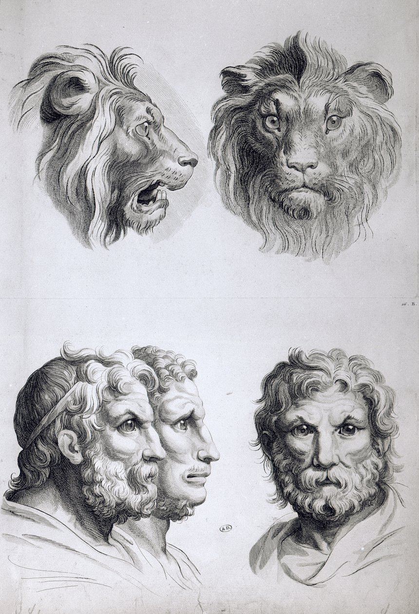 Semelhanças entre a cabeça de um leão e um homem, de &39;Um livro de retrato para quem começa a desenhar&39; Le Brun de Charles Le Brun