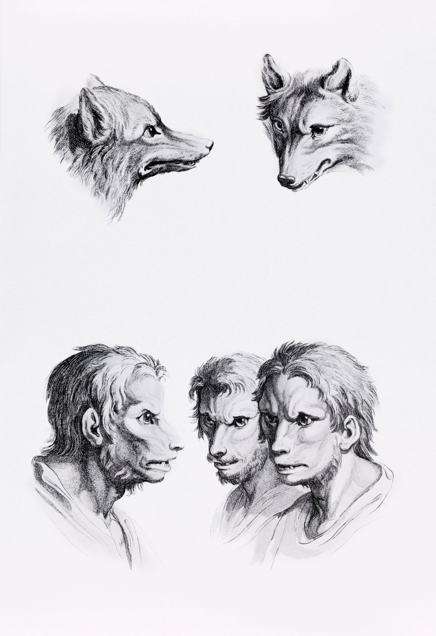 Semelhanças entre a cabeça de um lobo e um homem, de "Um livro de retratos para quem começa a desenhar", de Le Brun de Charles Le Brun