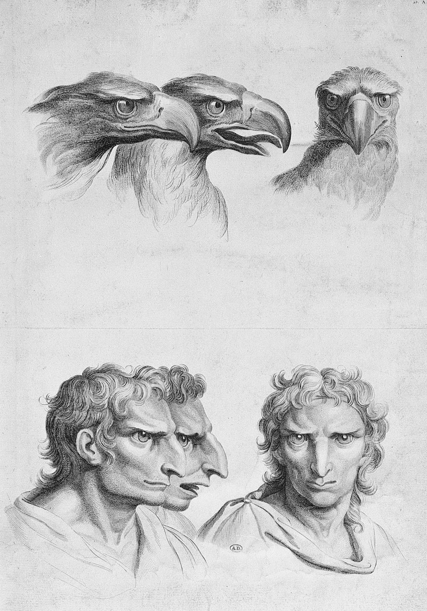 Semelhanças entre a cabeça de uma águia e um homem, de "livro de retrato para aqueles que começam a desenhar" por Le Brun de Charles Le Brun