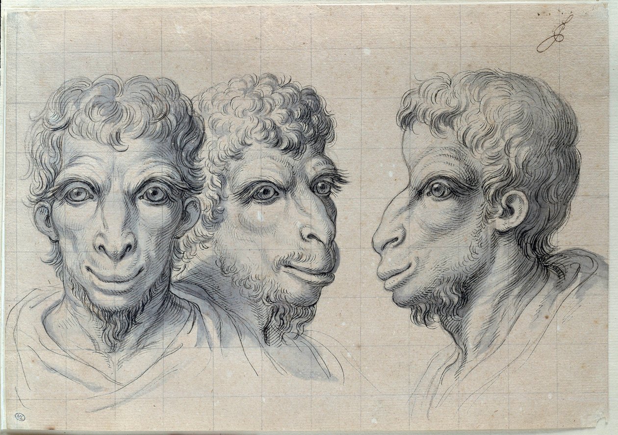 Estudos de três cabeças de homens recordando a fisionomia do desenho do camelo de Charles Lebrun (Le Brun) (1619-1690) Século XVII. Dim. 0,22x0,32 m. Paris, Museu do Louvre de Charles Le Brun