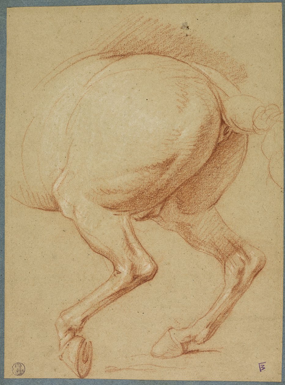 As patas traseiras de um cavalo de Charles Le Brun