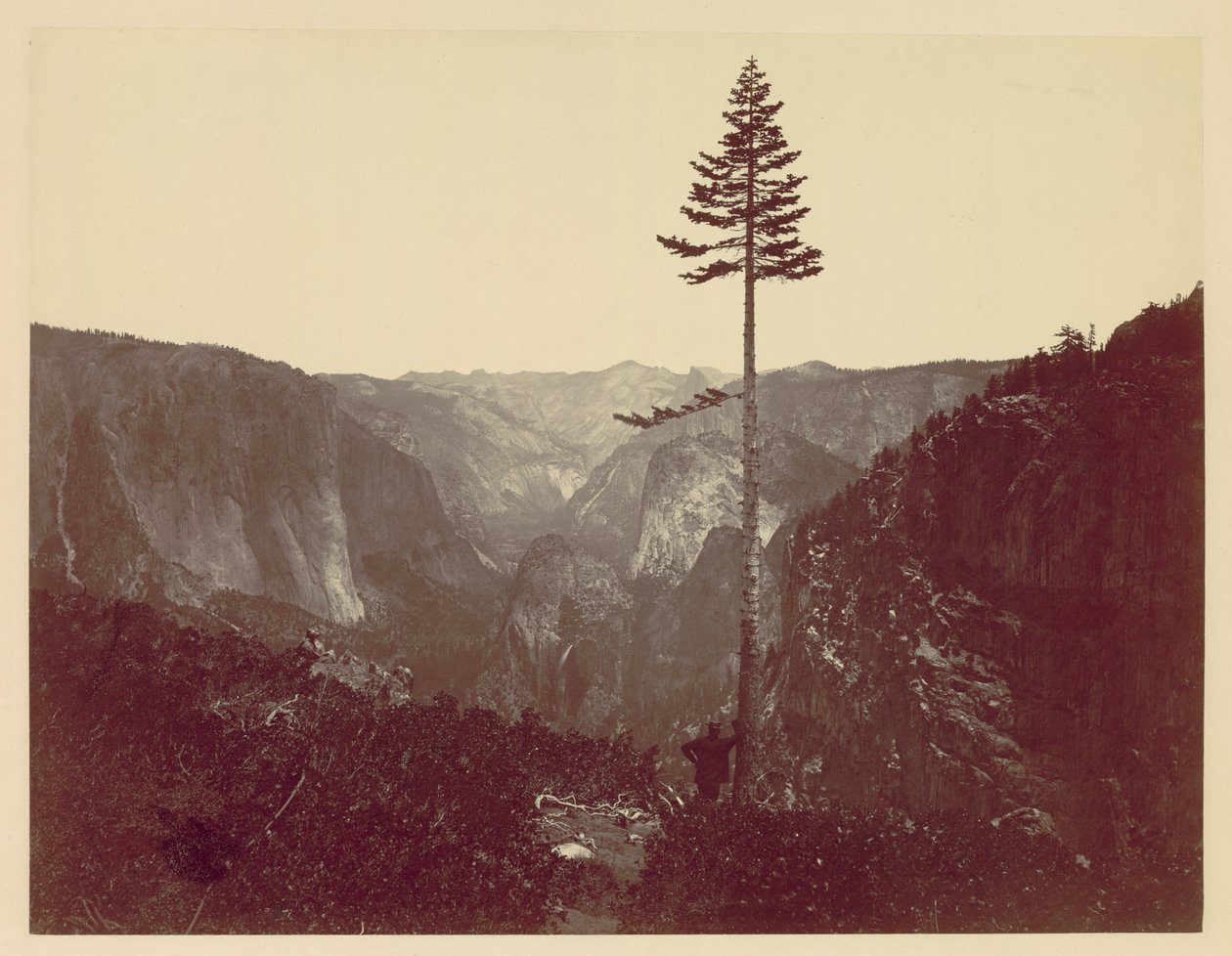 Vale de Yosemite da trilha de Mariposa, c. 1865 de Charles Leander Weed
