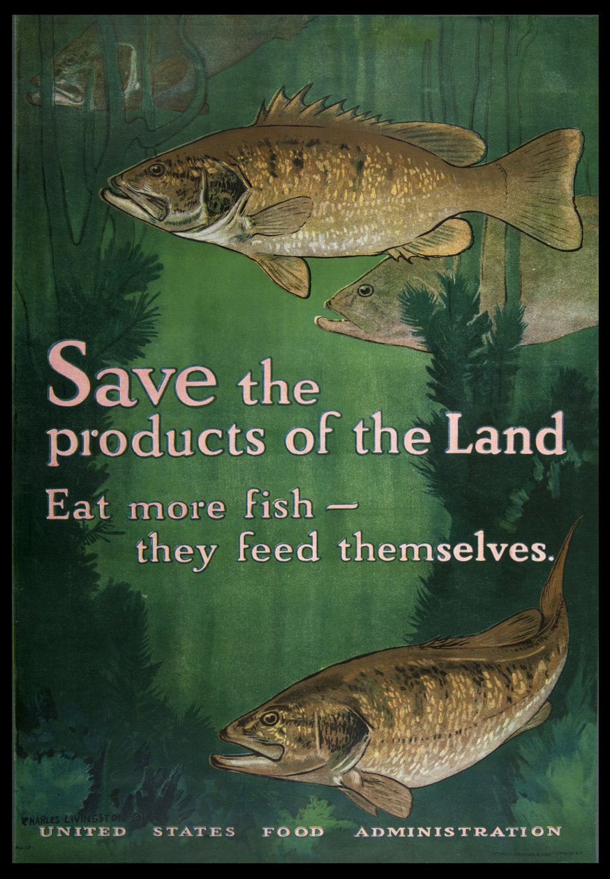 Salvar os produtos da terra, coma mais peixe, 1914-18 de Charles Livingston Bull