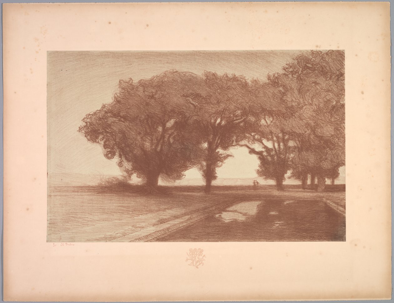 Paisagem Suite: Paisagem, Placa 8, Nota, Pansies, 1892-1893. de Charles Marie Dulac