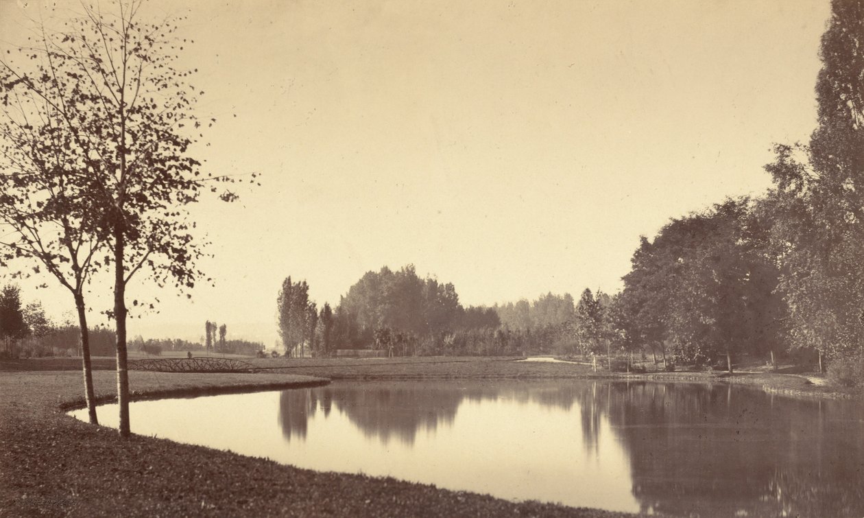 Bois de Boulogne de Charles Marville