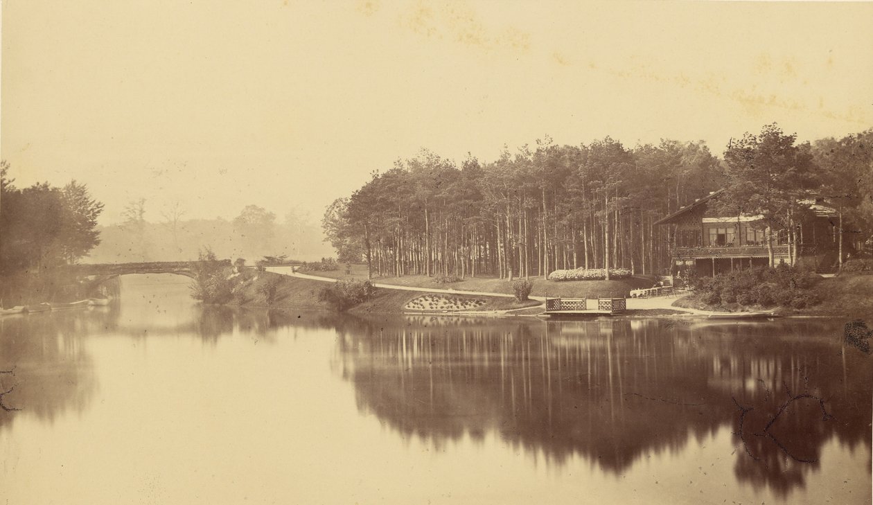 [Bois de Boulogne, Paris] de Charles Marville