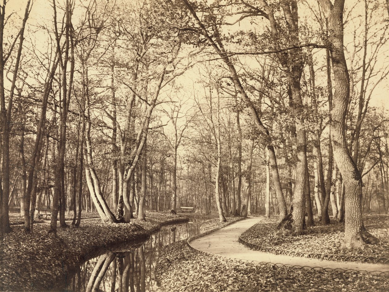 Bois de Boulogne, Paris de Charles Marville