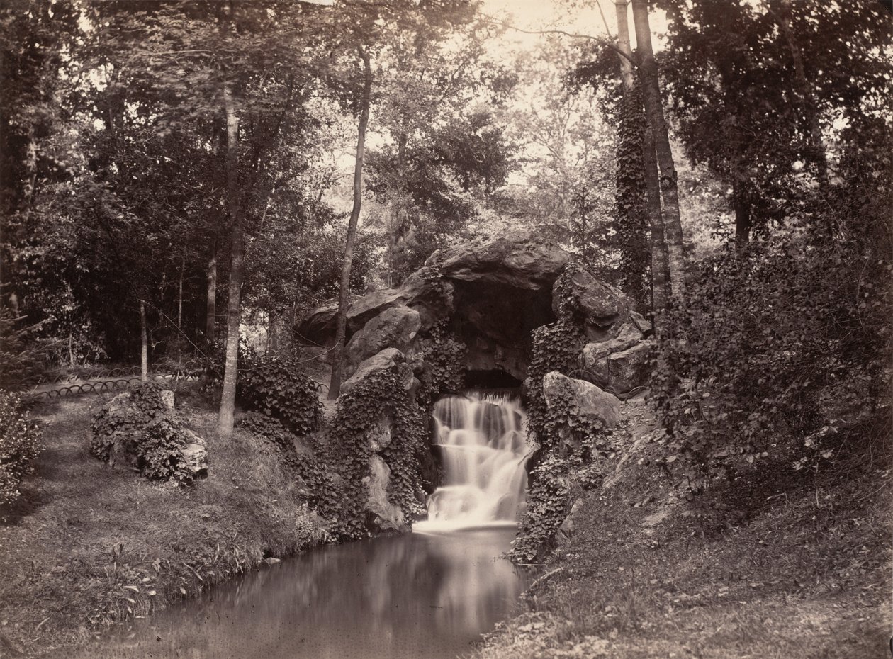 Floresta. de Charles Marville
