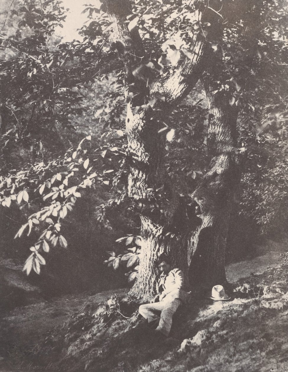 Homem reclinado ao pé de um castanheiro, 1850-53. de Charles Marville