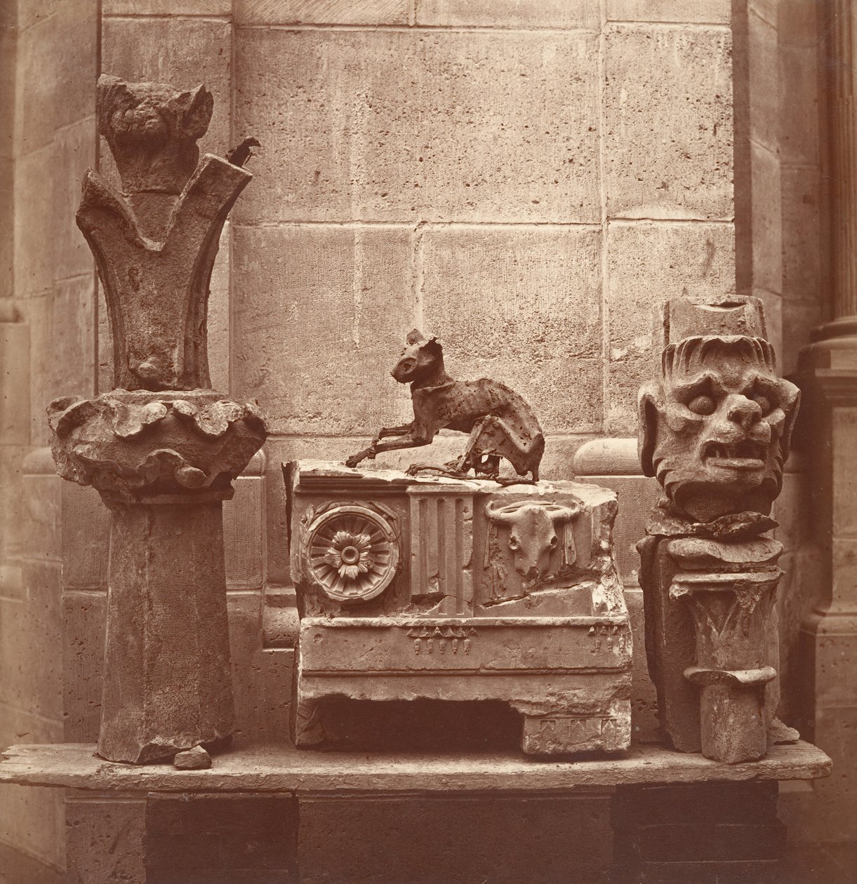 O Gato Mumificado encontrado nas escavações de Saint-Germain-en-Laye, ca. 1862. de Charles Marville
