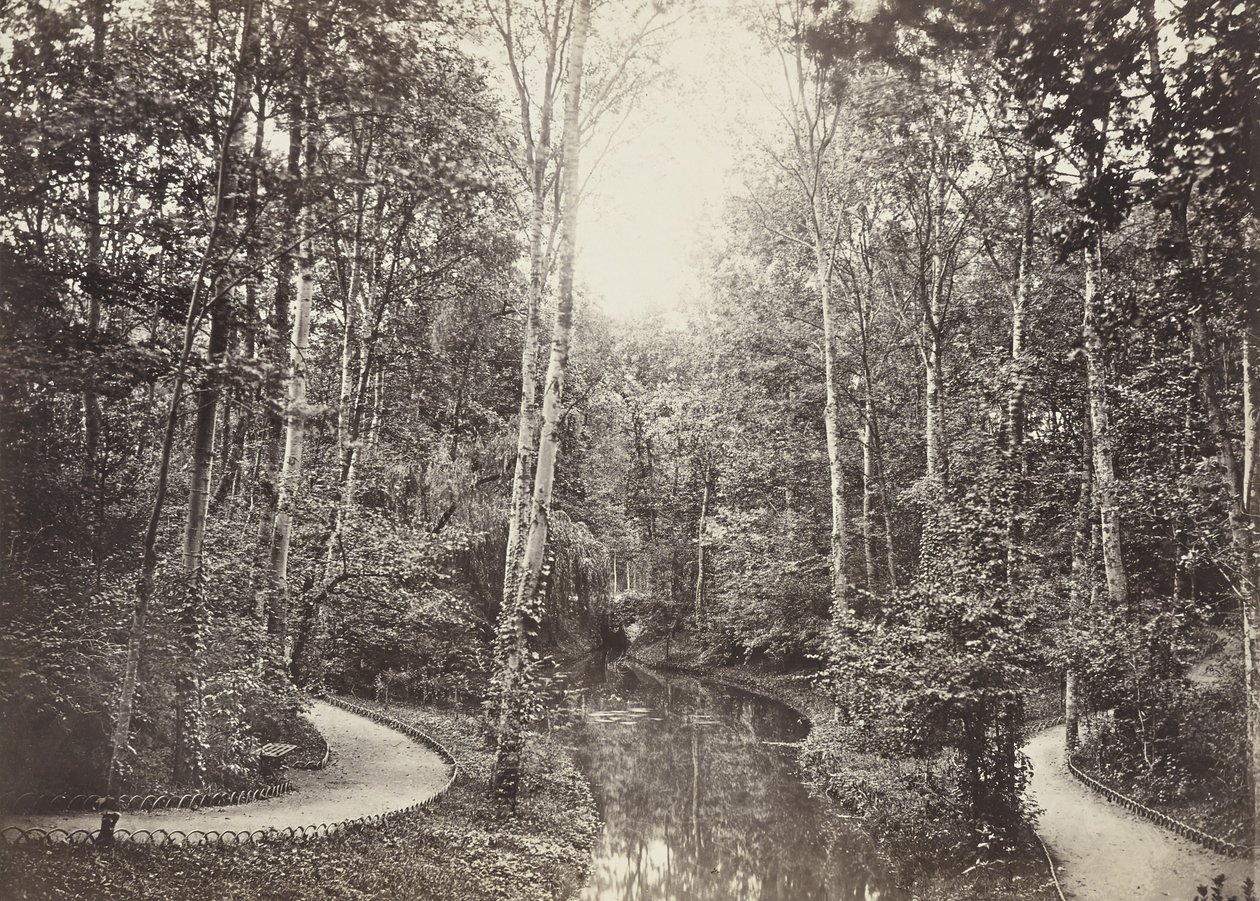 Lagoa Doe, Bois de Boulogne de Charles Marville
