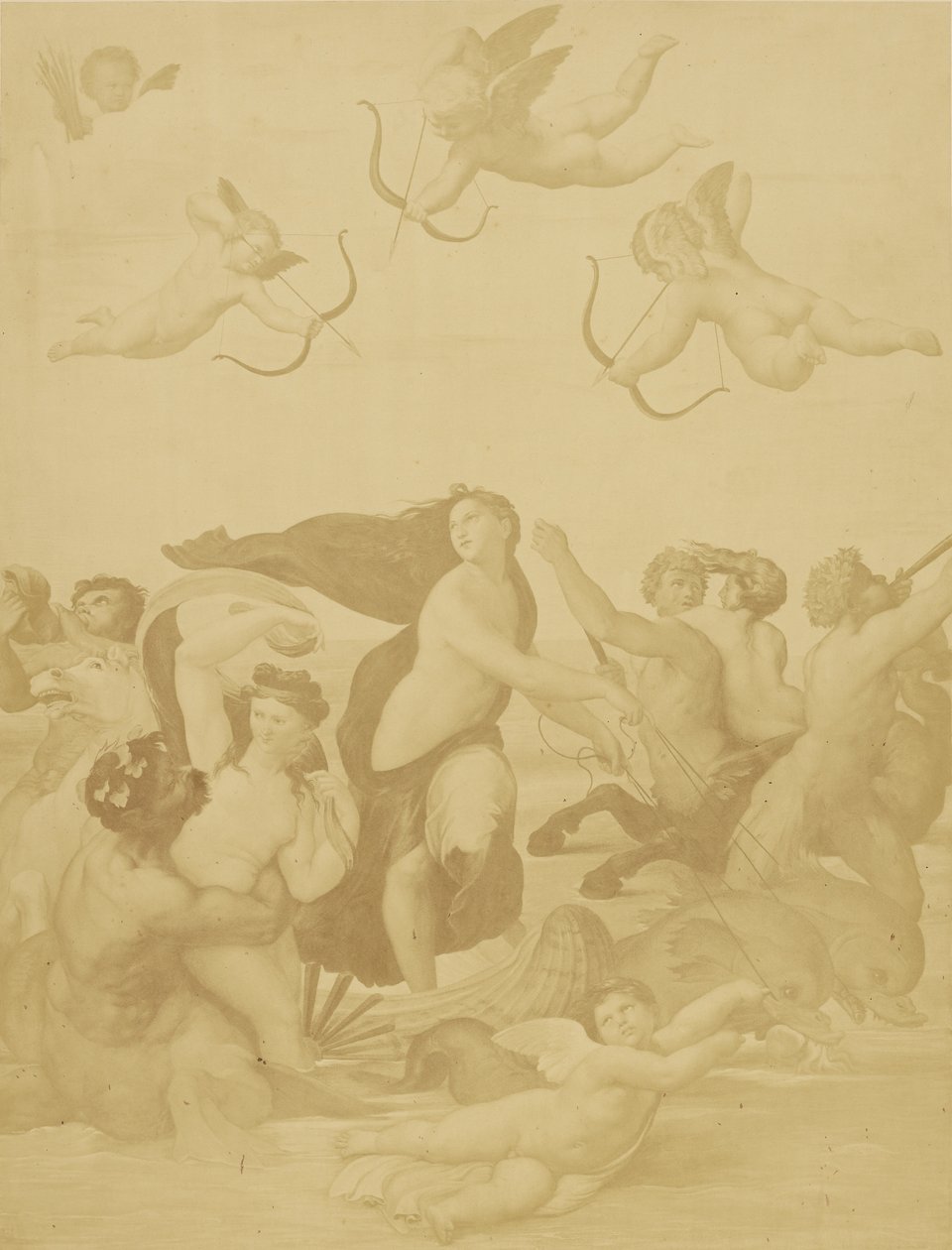 [Reprodução de Galatea por Raphaël] de Charles Marville