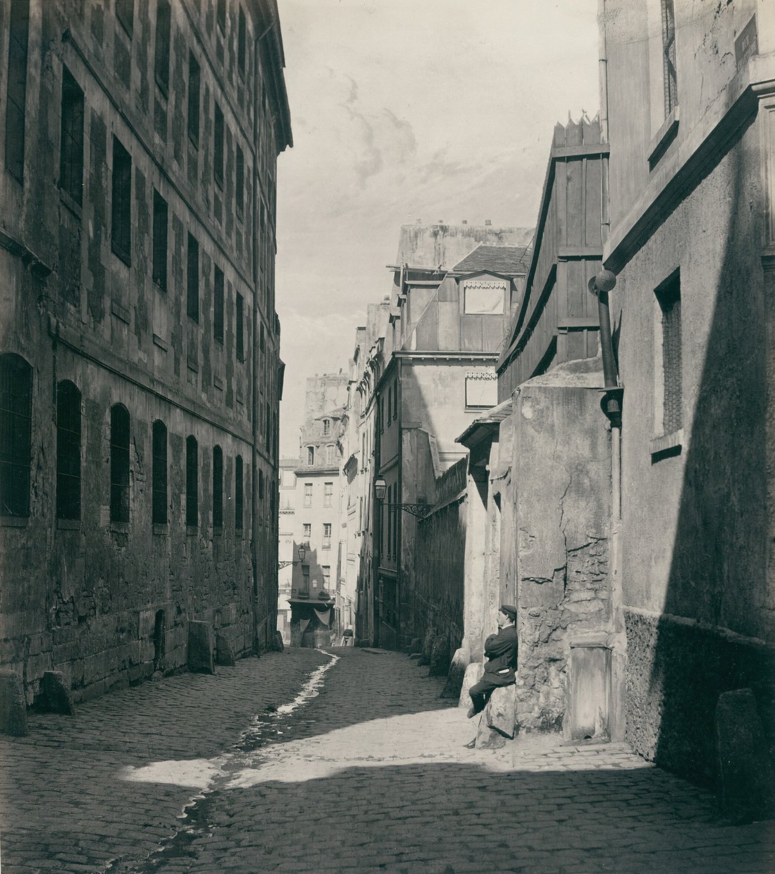Floresta. de Charles Marville