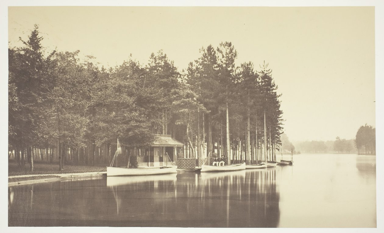 Floresta. de Charles Marville