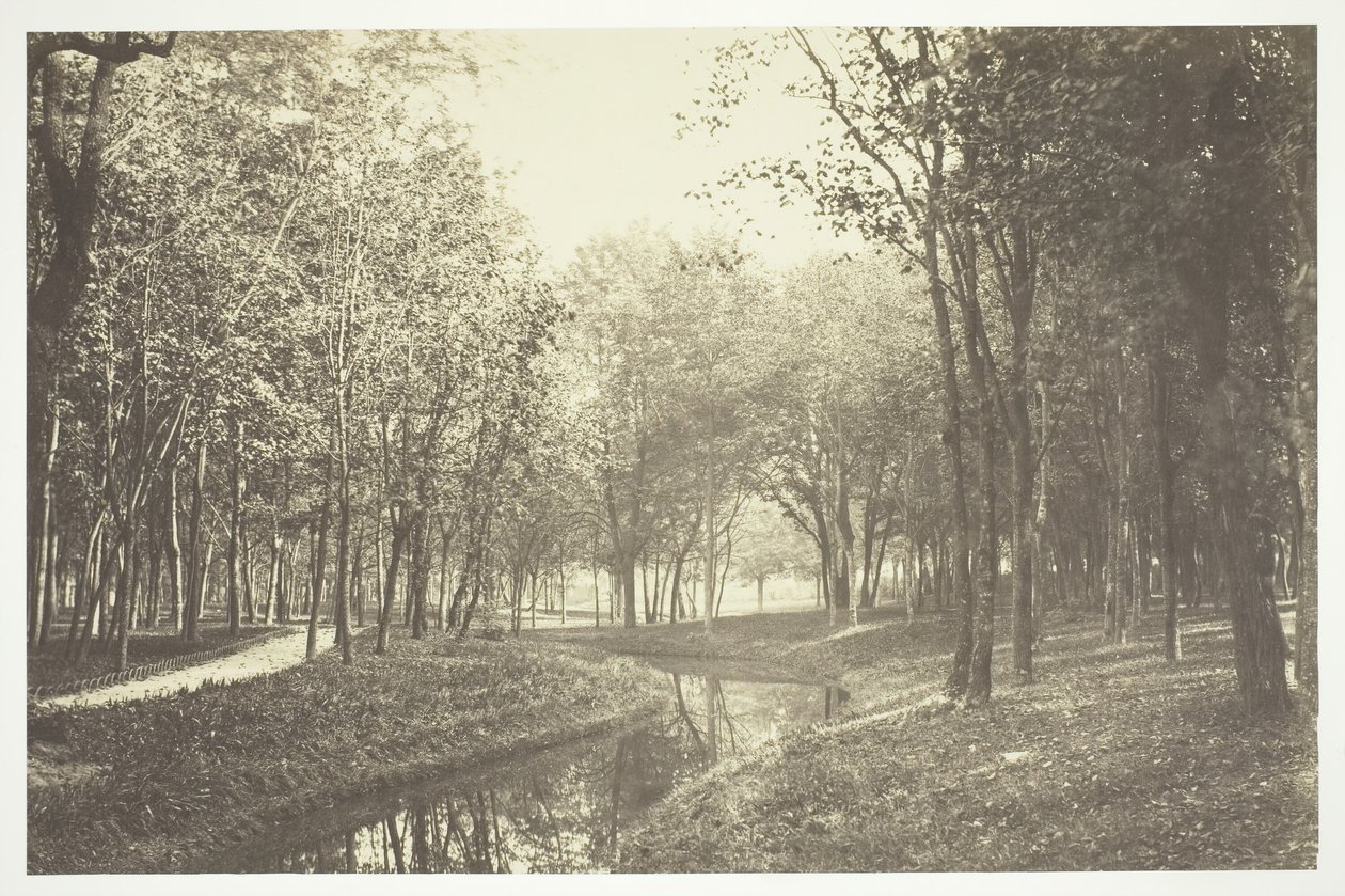 Floresta. de Charles Marville