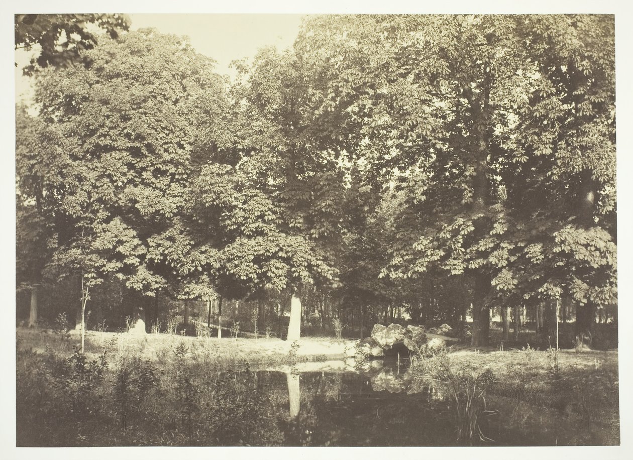 Floresta. de Charles Marville