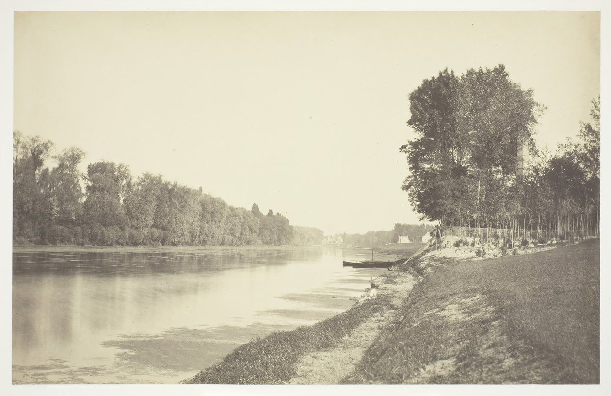 Sem título, c. 1850. [Árvores perto da água no Bois de Boulogne, um parque em Paris]. de Charles Marville