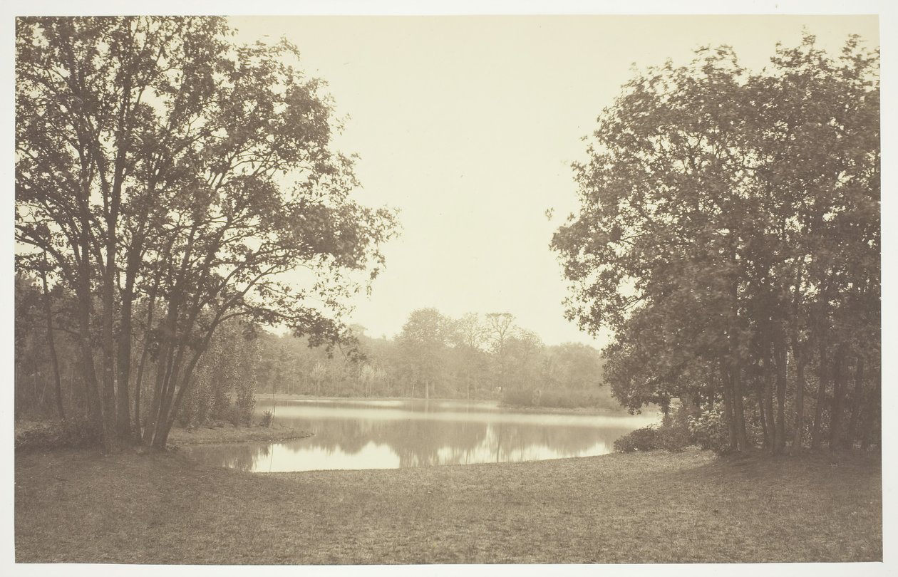 Sem título, c. 1850. [Árvores perto da água no Bois de Boulogne, um parque em Paris]. de Charles Marville