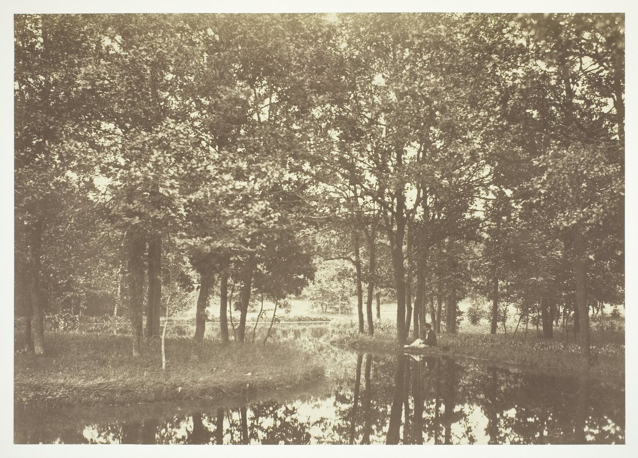 Sem título, c. 1850. [Árvores perto da água no Bois de Boulogne, um parque em Paris]. de Charles Marville