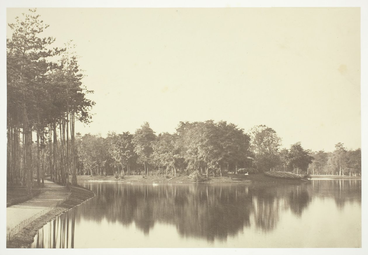 Sem título, c. 1850. [Árvores perto da água no Bois de Boulogne, um parque em Paris]. de Charles Marville