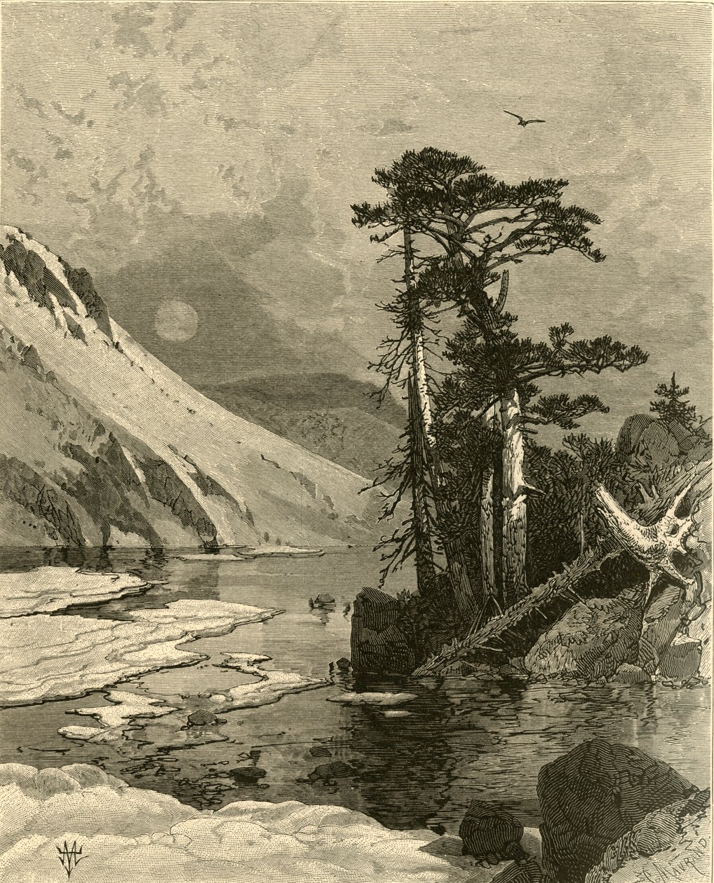 Floresta. de Charles Maurand
