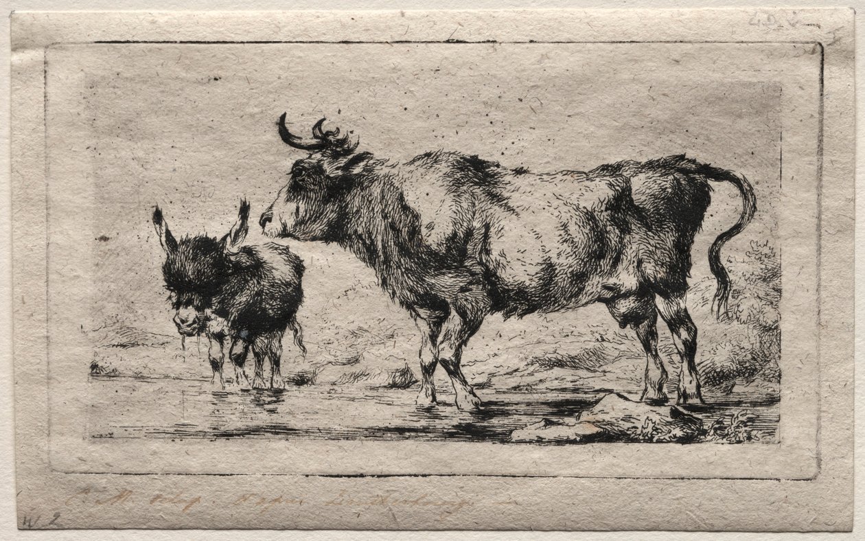 Cow and Ass, 1849. de Charles Meryon