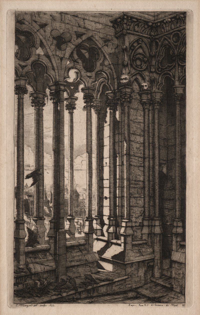 Gravuras de Paris: A Galeria de Notre Dame, 1853. de Charles Meryon