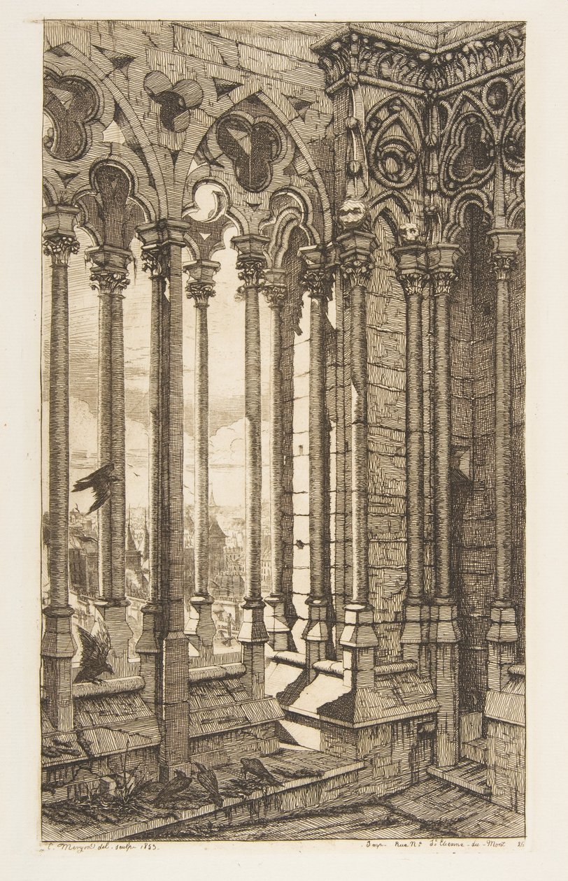 Galeria, Catedral de Notre-Dame, Paris de Charles Meryon