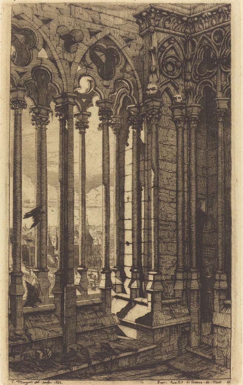 A Galeria de Notre Dame, Paris (Galeria de Notre Dame, Paris) de Charles Meryon